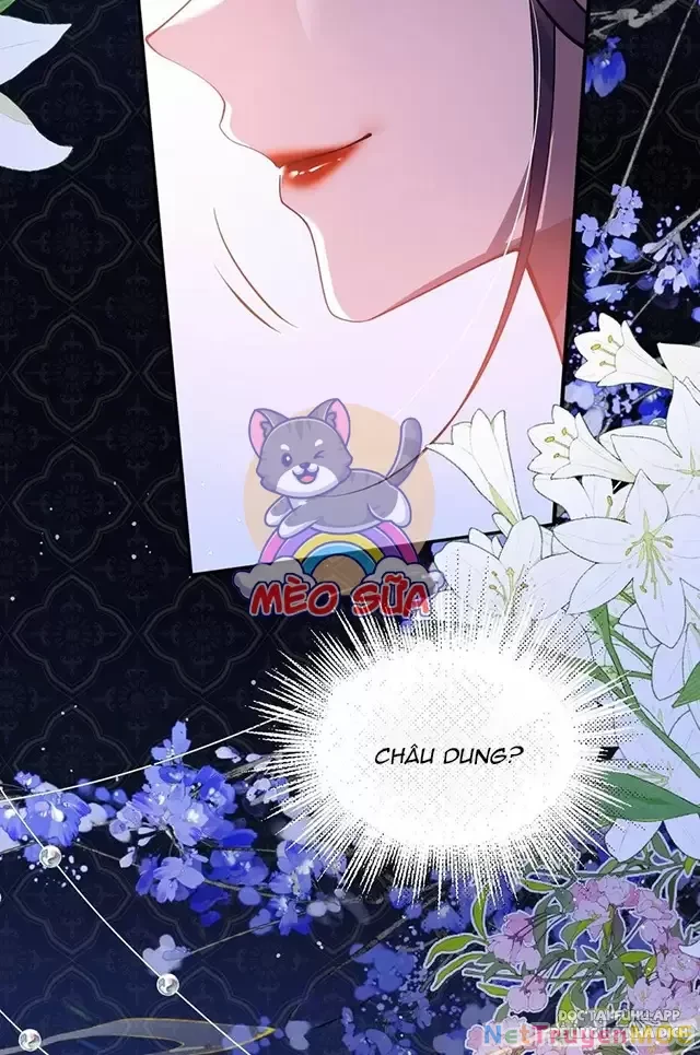 Nuông Chiều Mỹ Nhân Cuồng Nhiệt Chapter 15 - Trang 4