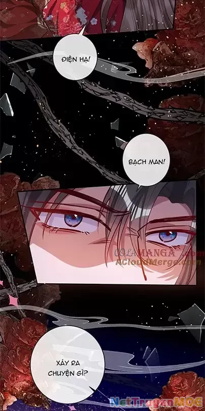 Nuông Chiều Mỹ Nhân Cuồng Nhiệt Chapter 15 - Trang 4