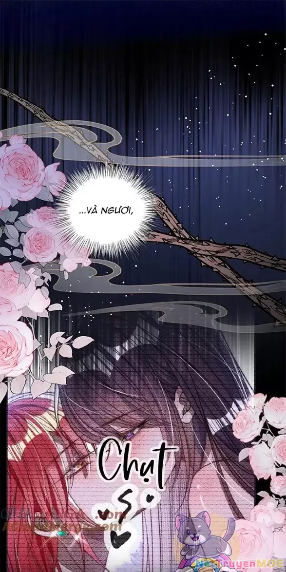 Nuông Chiều Mỹ Nhân Cuồng Nhiệt Chapter 16 - Trang 4