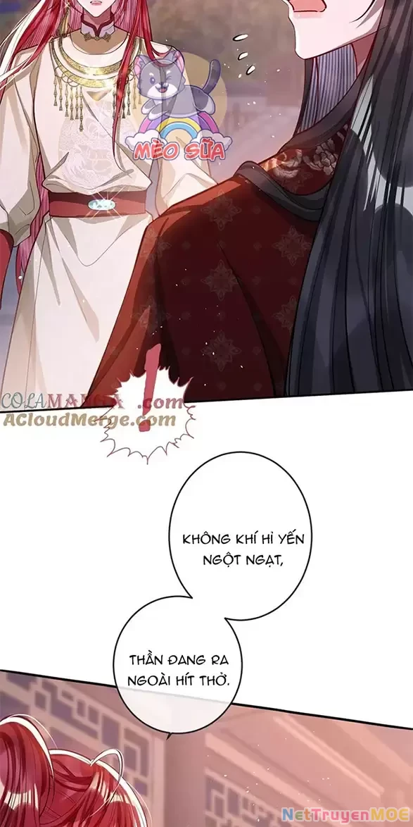 Nuông Chiều Mỹ Nhân Cuồng Nhiệt Chapter 16 - Trang 4