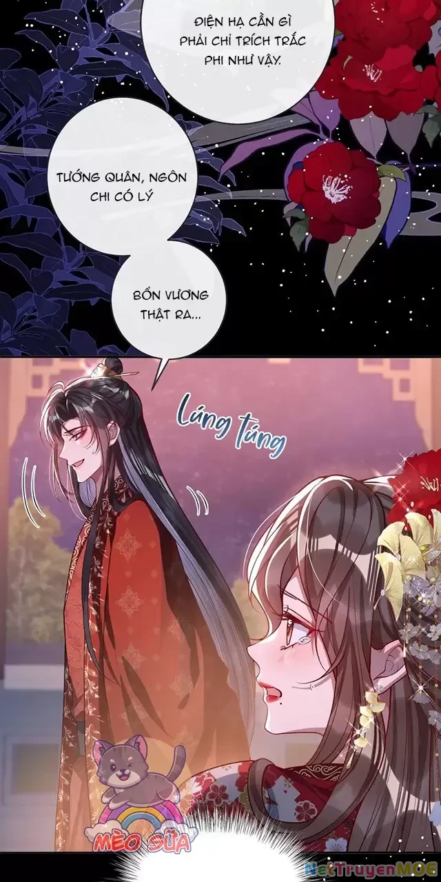 Nuông Chiều Mỹ Nhân Cuồng Nhiệt Chapter 16 - Trang 4