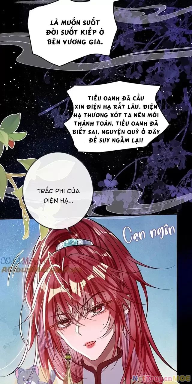 Nuông Chiều Mỹ Nhân Cuồng Nhiệt Chapter 16 - Trang 4