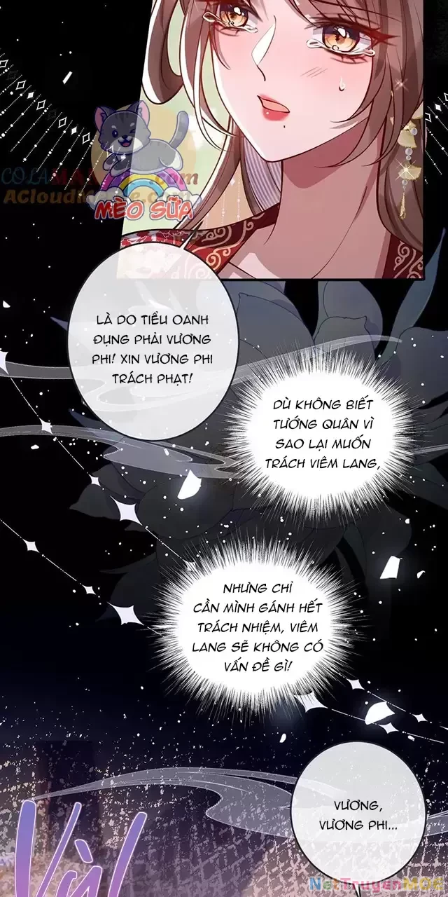 Nuông Chiều Mỹ Nhân Cuồng Nhiệt Chapter 16 - Trang 4