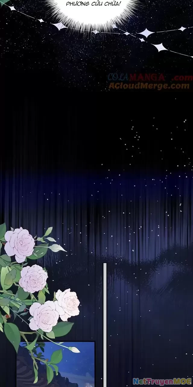 Nuông Chiều Mỹ Nhân Cuồng Nhiệt Chapter 16 - Trang 4