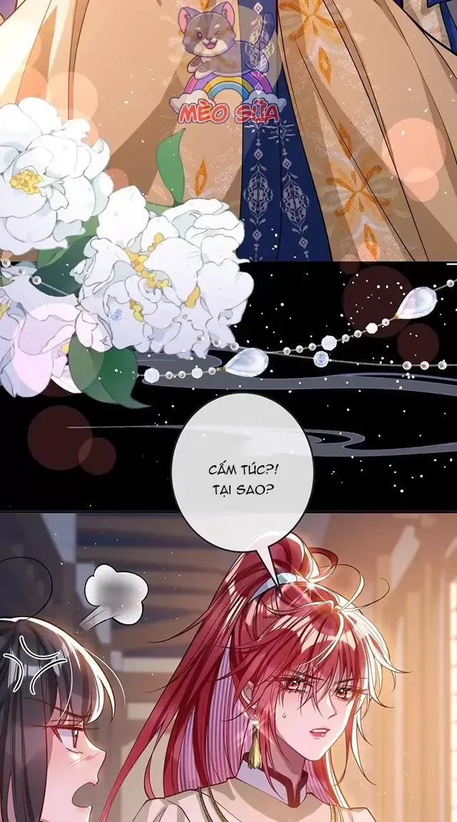 Nuông Chiều Mỹ Nhân Cuồng Nhiệt Chapter 16 - Trang 4