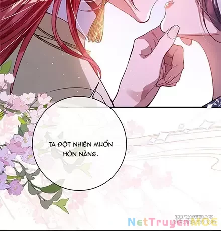 Nuông Chiều Mỹ Nhân Cuồng Nhiệt Chapter 17 - Trang 4
