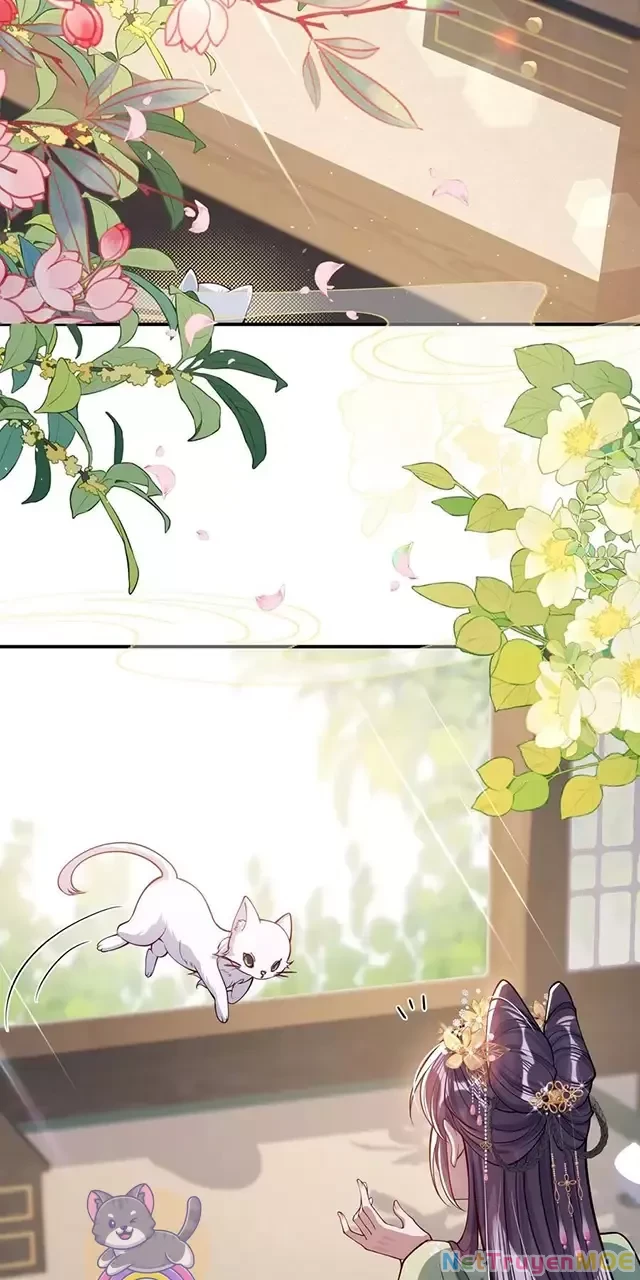 Nuông Chiều Mỹ Nhân Cuồng Nhiệt Chapter 17 - Trang 4