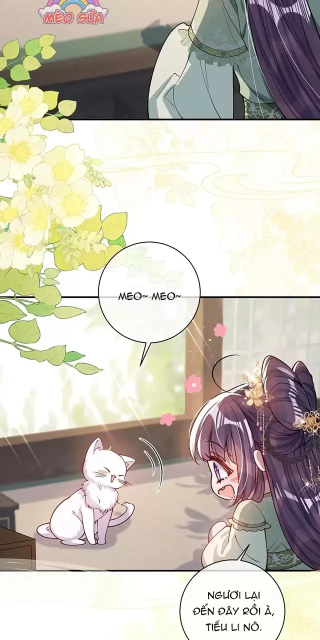 Nuông Chiều Mỹ Nhân Cuồng Nhiệt Chapter 17 - Trang 4