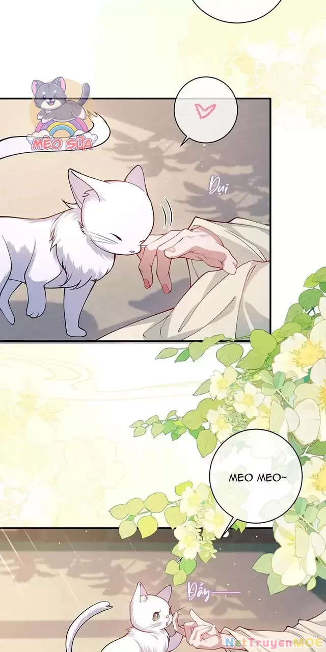 Nuông Chiều Mỹ Nhân Cuồng Nhiệt Chapter 17 - Trang 4