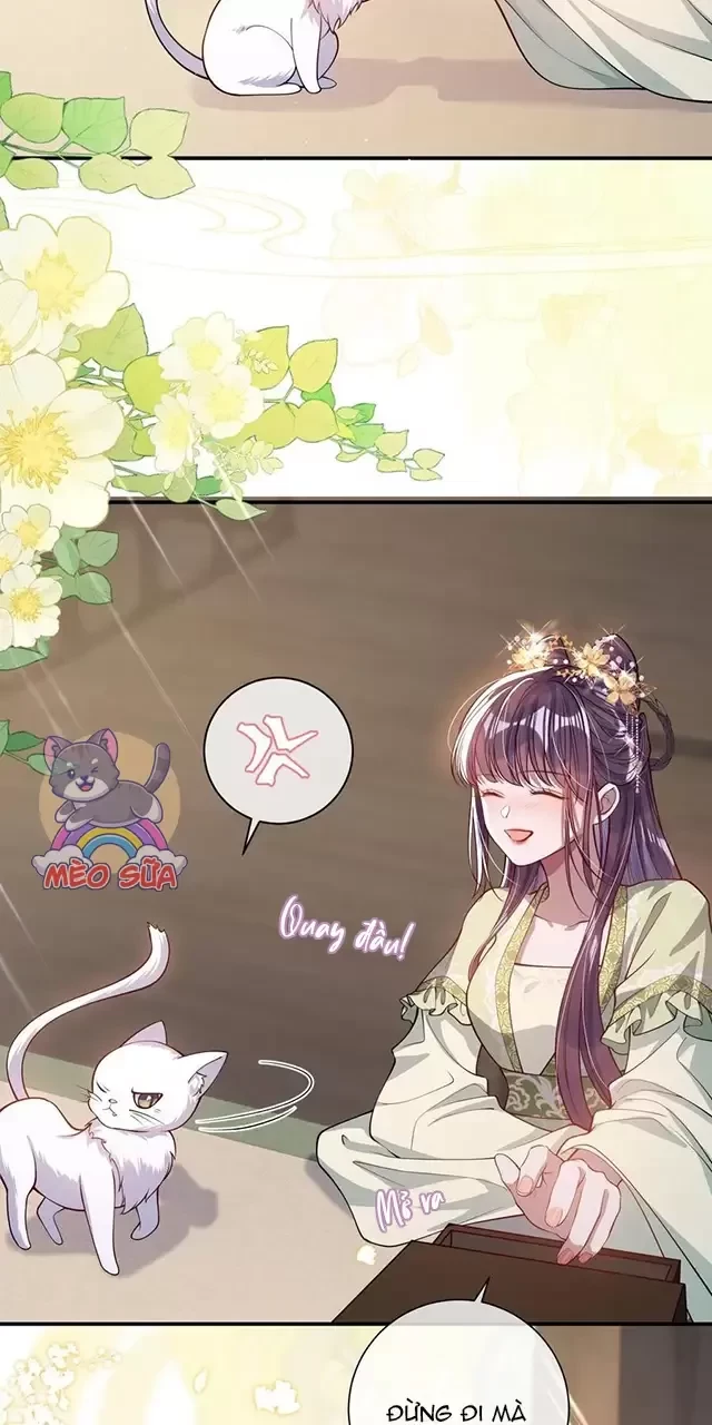 Nuông Chiều Mỹ Nhân Cuồng Nhiệt Chapter 17 - Trang 4