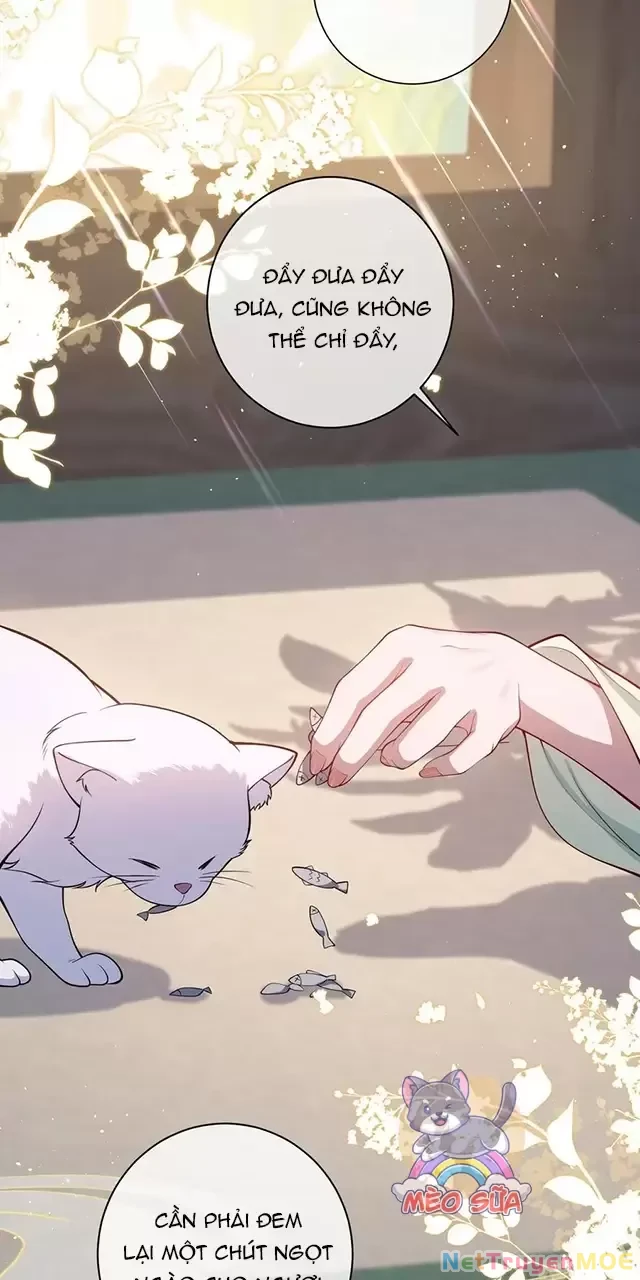 Nuông Chiều Mỹ Nhân Cuồng Nhiệt Chapter 17 - Trang 4