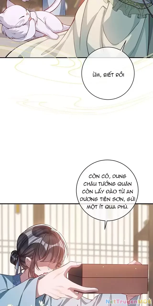 Nuông Chiều Mỹ Nhân Cuồng Nhiệt Chapter 17 - Trang 4