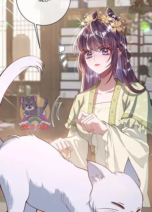 Nuông Chiều Mỹ Nhân Cuồng Nhiệt Chapter 17 - Trang 4