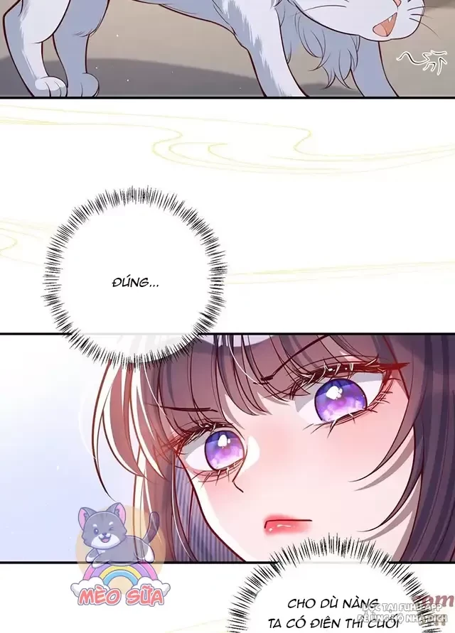 Nuông Chiều Mỹ Nhân Cuồng Nhiệt Chapter 17 - Trang 4