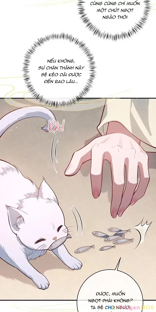 Nuông Chiều Mỹ Nhân Cuồng Nhiệt Chapter 17 - Trang 4