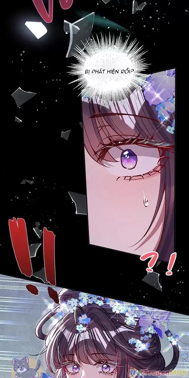 Nuông Chiều Mỹ Nhân Cuồng Nhiệt Chapter 18 - Trang 4