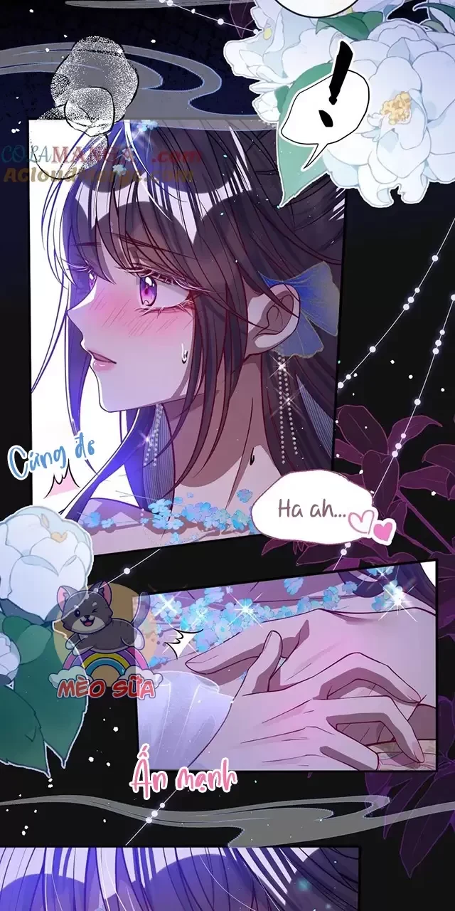 Nuông Chiều Mỹ Nhân Cuồng Nhiệt Chapter 19 - Trang 4