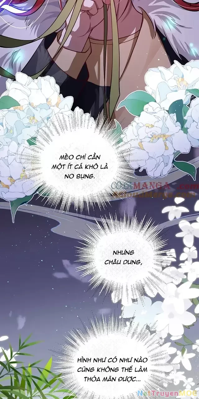Nuông Chiều Mỹ Nhân Cuồng Nhiệt Chapter 19 - Trang 4