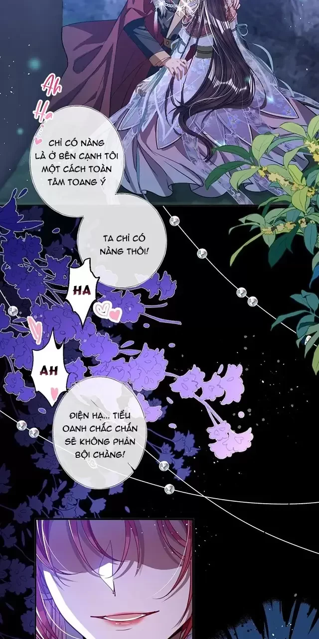 Nuông Chiều Mỹ Nhân Cuồng Nhiệt Chapter 19 - Trang 4