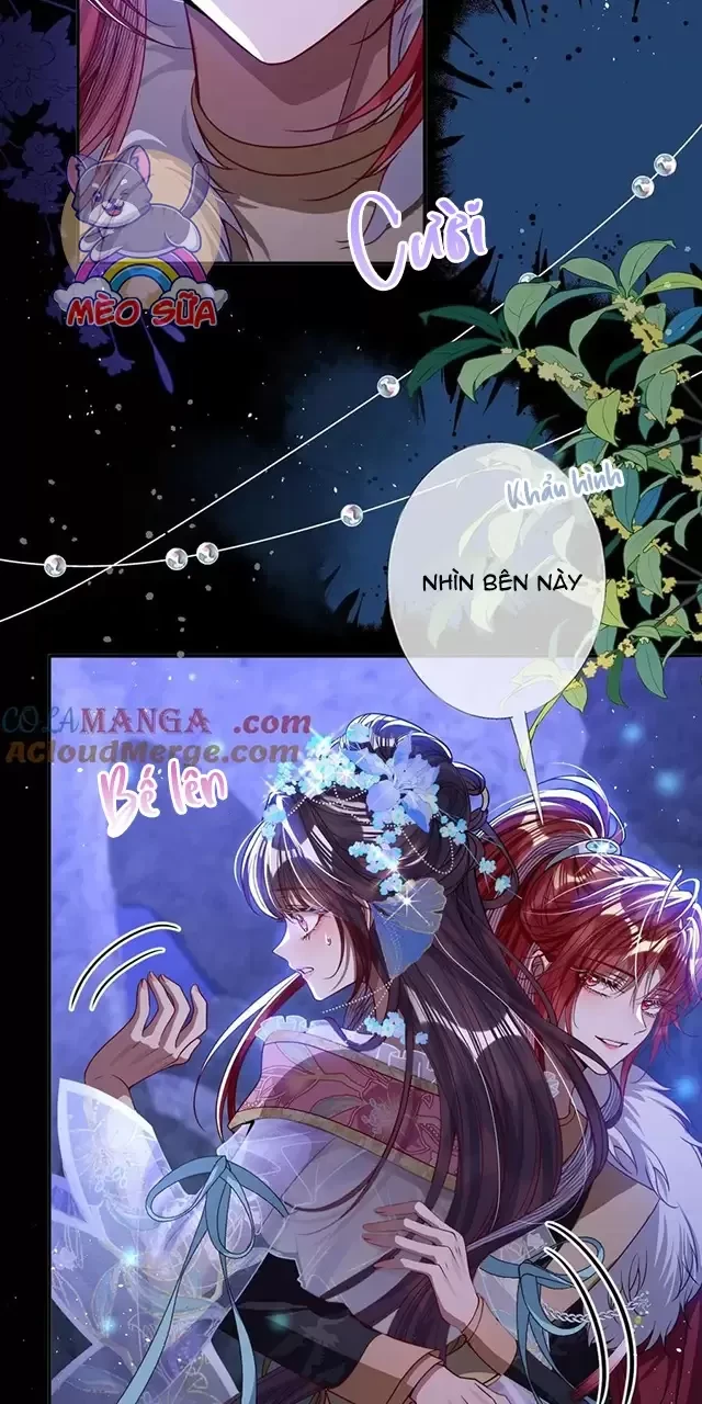 Nuông Chiều Mỹ Nhân Cuồng Nhiệt Chapter 19 - Trang 4
