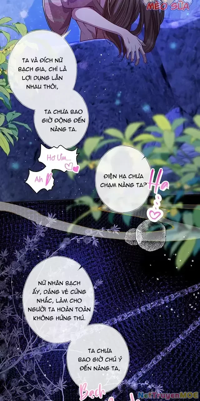 Nuông Chiều Mỹ Nhân Cuồng Nhiệt Chapter 19 - Trang 4