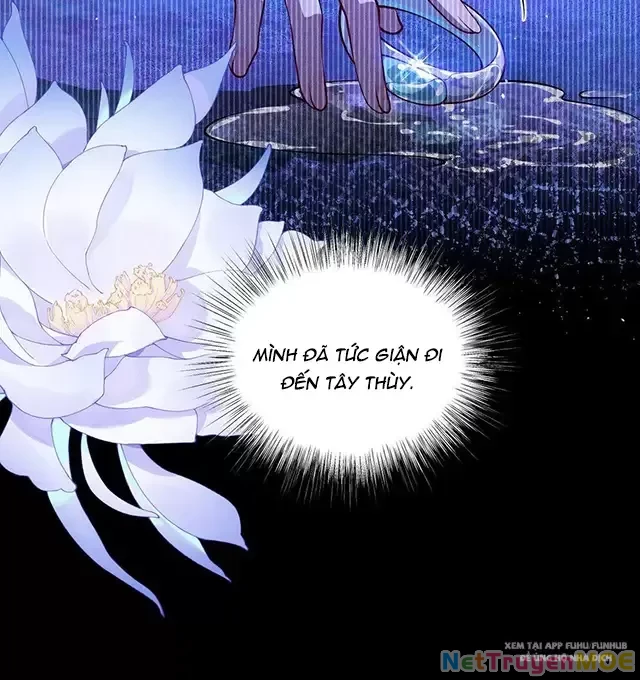 Nuông Chiều Mỹ Nhân Cuồng Nhiệt Chapter 20 - Trang 4