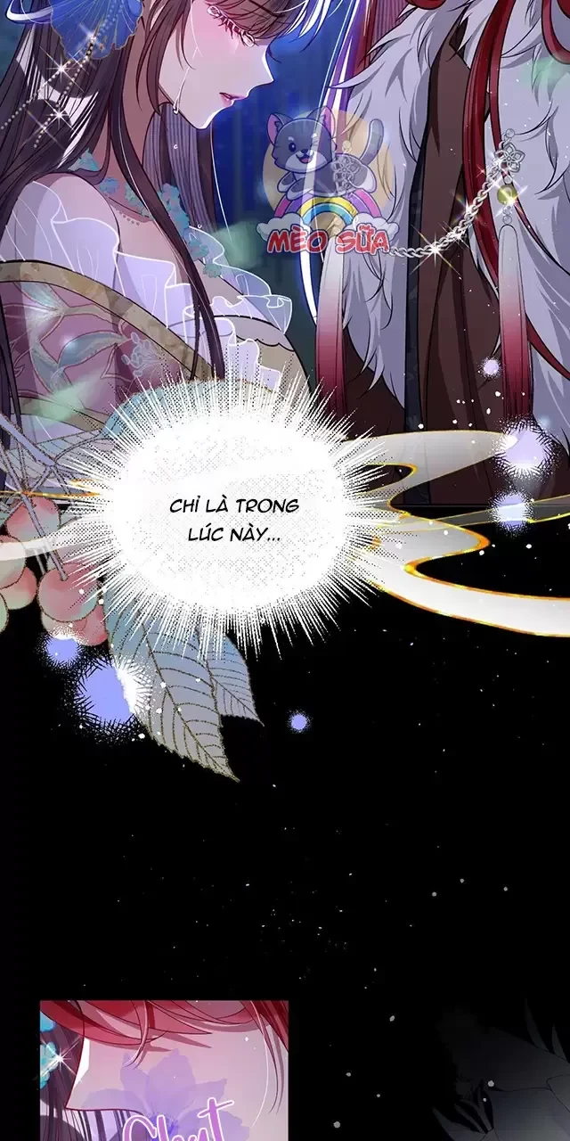 Nuông Chiều Mỹ Nhân Cuồng Nhiệt Chapter 20 - Trang 4