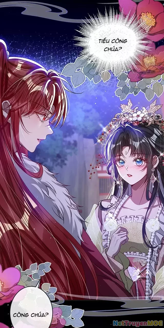Nuông Chiều Mỹ Nhân Cuồng Nhiệt Chapter 20 - Trang 4
