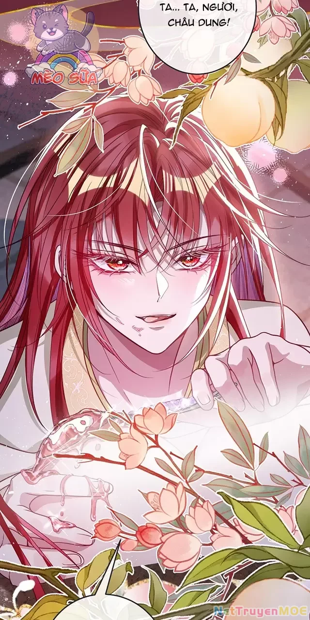 Nuông Chiều Mỹ Nhân Cuồng Nhiệt Chapter 21 - Trang 4