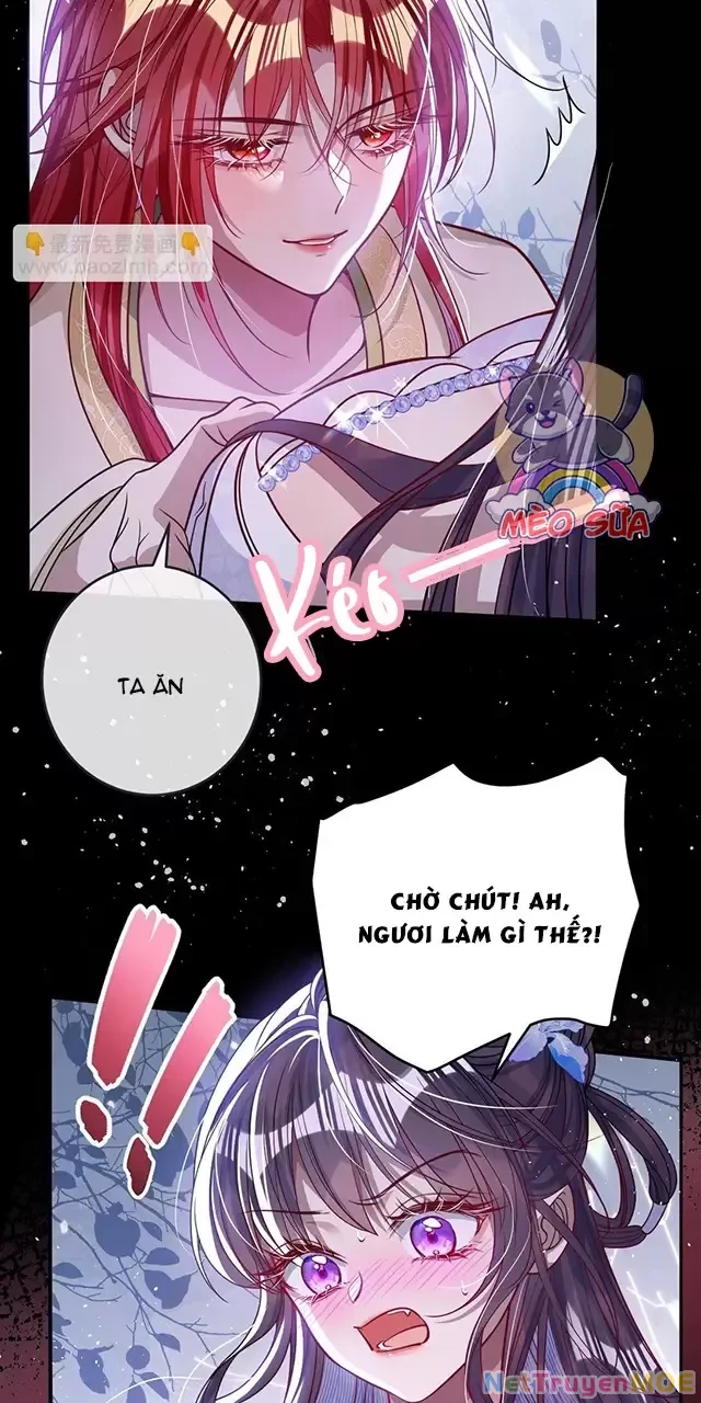 Nuông Chiều Mỹ Nhân Cuồng Nhiệt Chapter 21 - Trang 4