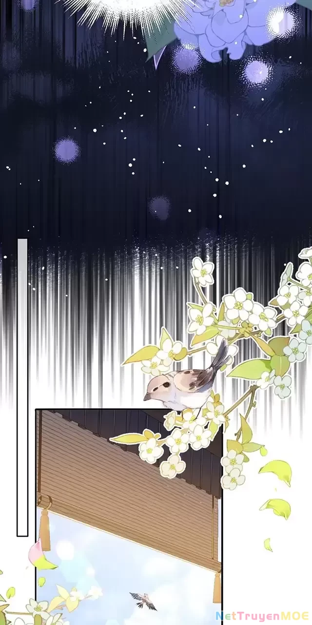 Nuông Chiều Mỹ Nhân Cuồng Nhiệt Chapter 22 - Trang 4