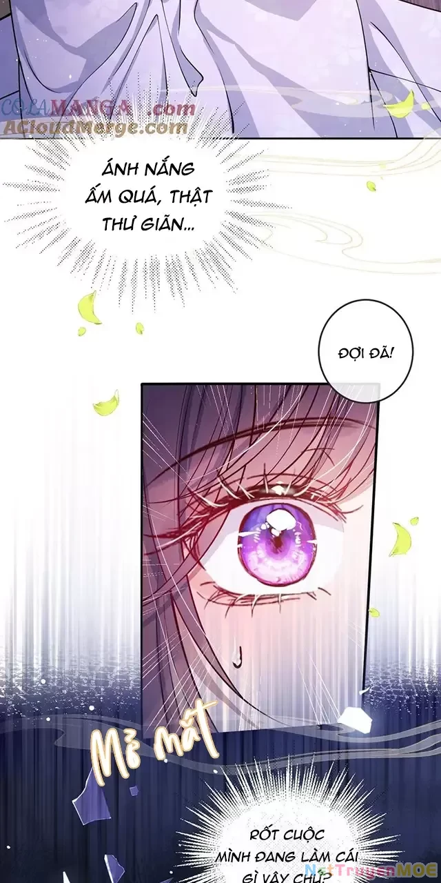 Nuông Chiều Mỹ Nhân Cuồng Nhiệt Chapter 22 - Trang 4