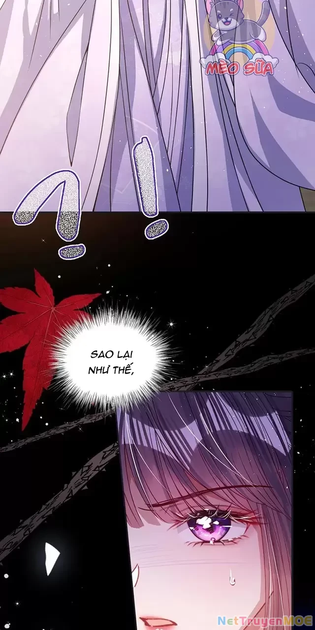 Nuông Chiều Mỹ Nhân Cuồng Nhiệt Chapter 22 - Trang 4