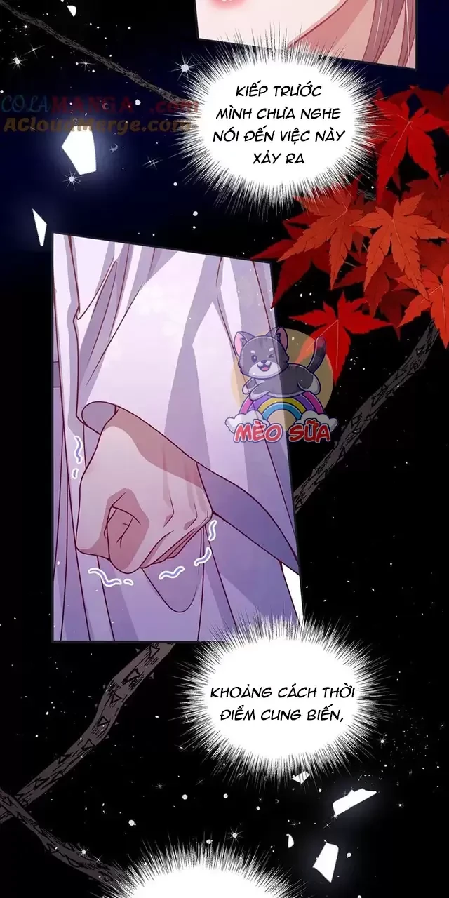 Nuông Chiều Mỹ Nhân Cuồng Nhiệt Chapter 22 - Trang 4