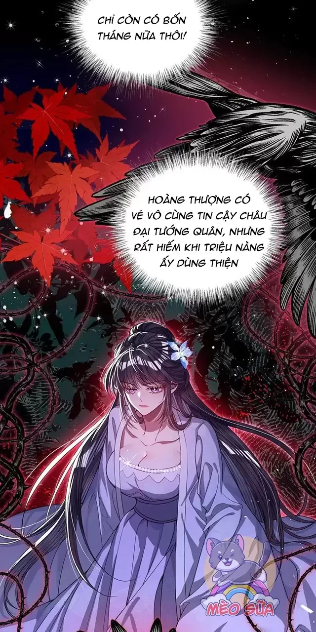 Nuông Chiều Mỹ Nhân Cuồng Nhiệt Chapter 22 - Trang 4