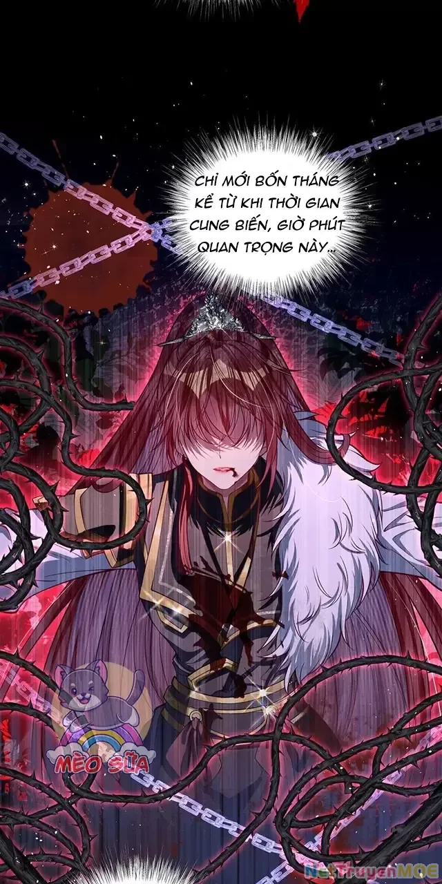 Nuông Chiều Mỹ Nhân Cuồng Nhiệt Chapter 22 - Trang 4