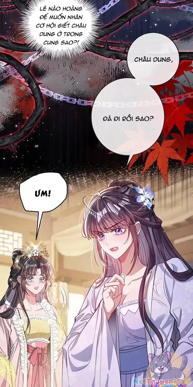 Nuông Chiều Mỹ Nhân Cuồng Nhiệt Chapter 22 - Trang 4