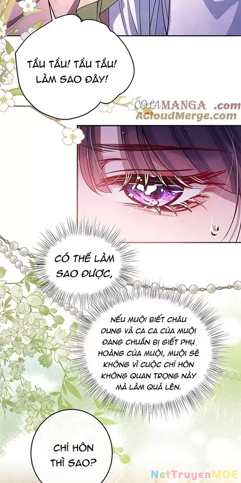 Nuông Chiều Mỹ Nhân Cuồng Nhiệt Chapter 23 - Trang 4