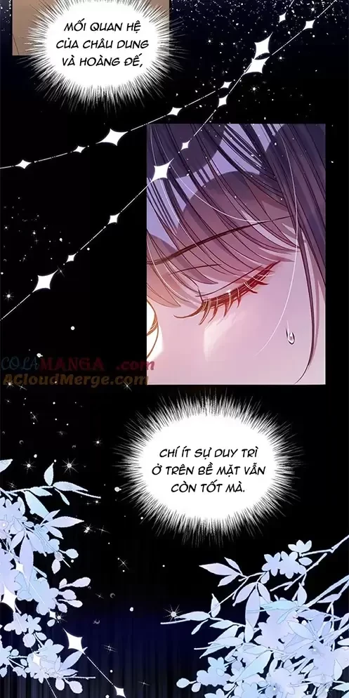 Nuông Chiều Mỹ Nhân Cuồng Nhiệt Chapter 23 - Trang 4