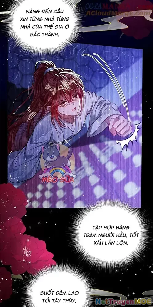 Nuông Chiều Mỹ Nhân Cuồng Nhiệt Chapter 23 - Trang 4