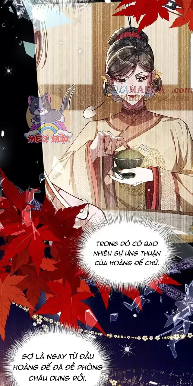 Nuông Chiều Mỹ Nhân Cuồng Nhiệt Chapter 23 - Trang 4