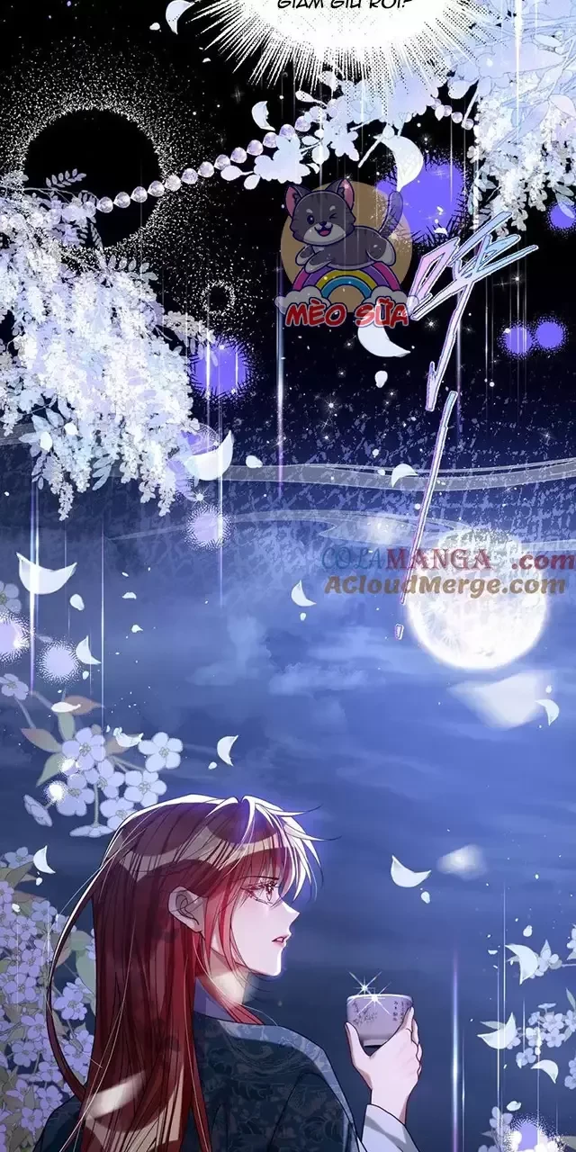 Nuông Chiều Mỹ Nhân Cuồng Nhiệt Chapter 24 - Trang 4