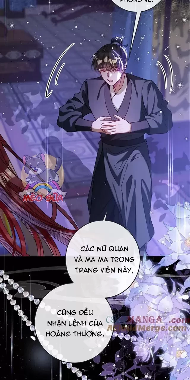 Nuông Chiều Mỹ Nhân Cuồng Nhiệt Chapter 24 - Trang 4