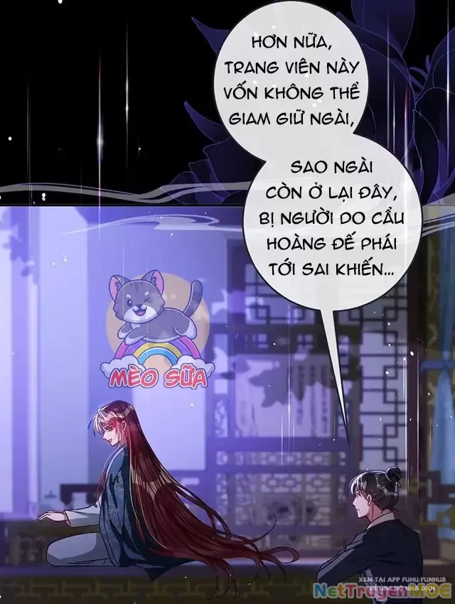 Nuông Chiều Mỹ Nhân Cuồng Nhiệt Chapter 24 - Trang 4