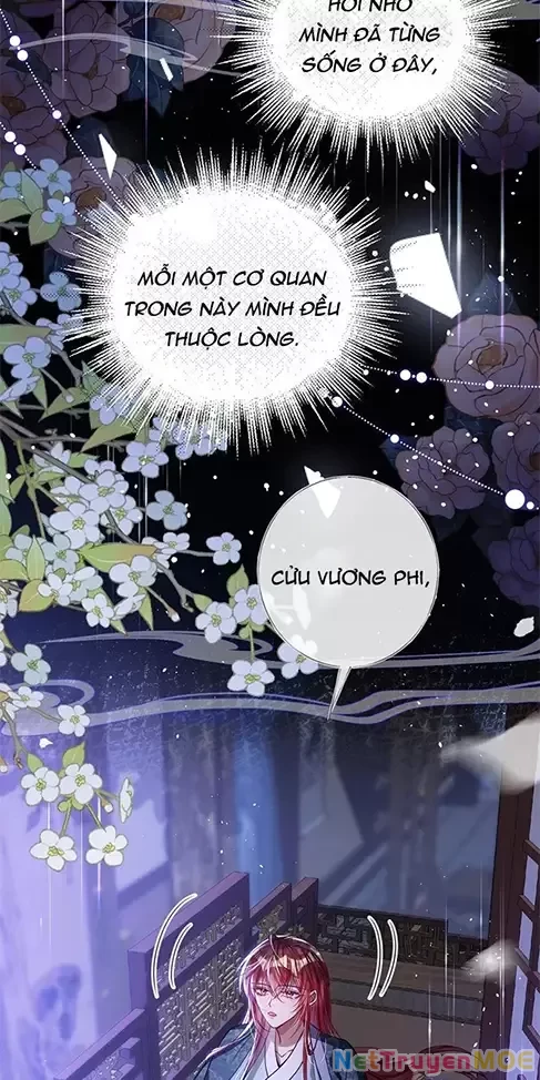 Nuông Chiều Mỹ Nhân Cuồng Nhiệt Chapter 24 - Trang 4