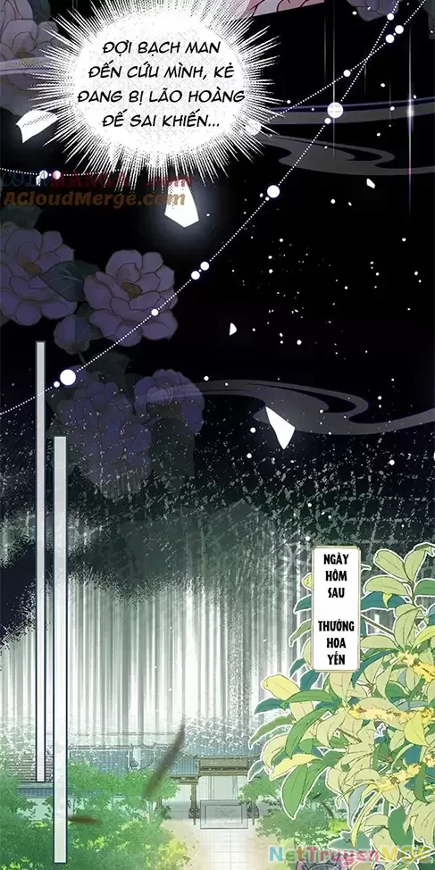 Nuông Chiều Mỹ Nhân Cuồng Nhiệt Chapter 24 - Trang 4