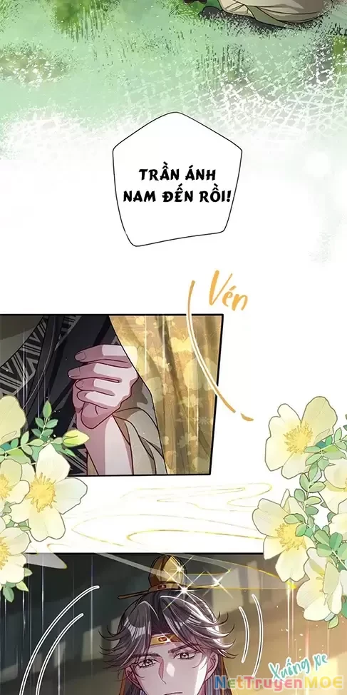 Nuông Chiều Mỹ Nhân Cuồng Nhiệt Chapter 24 - Trang 4