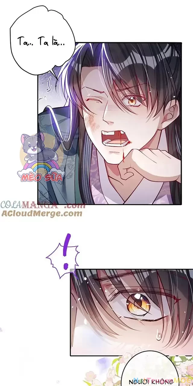 Nuông Chiều Mỹ Nhân Cuồng Nhiệt Chapter 24 - Trang 4