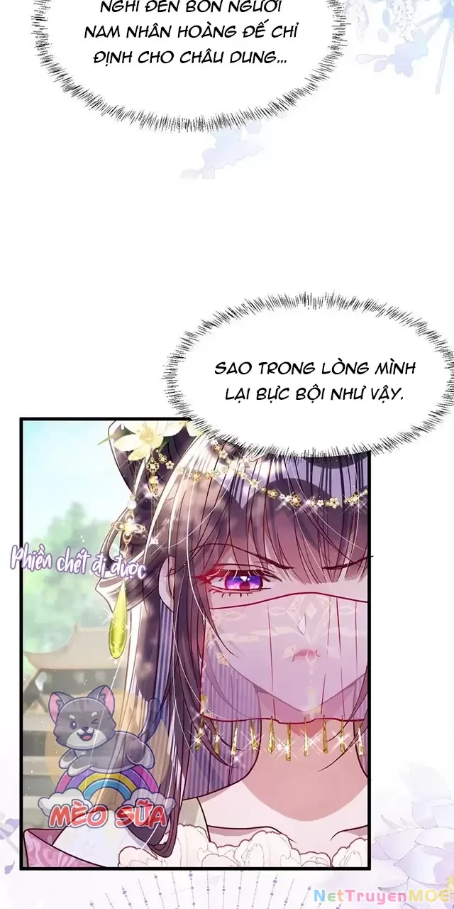 Nuông Chiều Mỹ Nhân Cuồng Nhiệt Chapter 25 - Trang 4