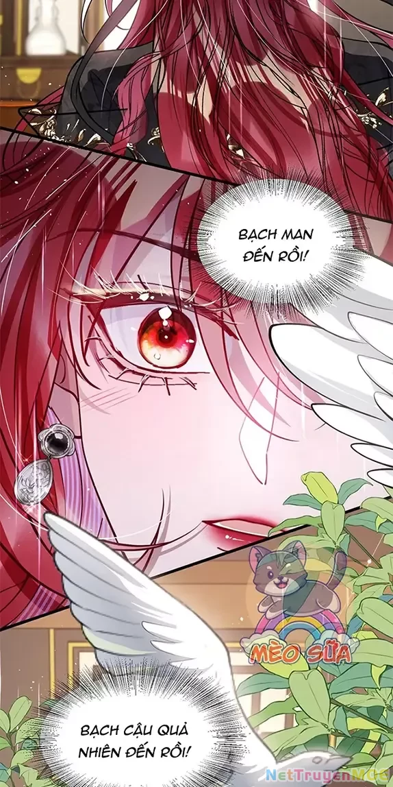 Nuông Chiều Mỹ Nhân Cuồng Nhiệt Chapter 26 - Trang 4